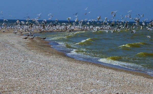 Каспийское море Ейск