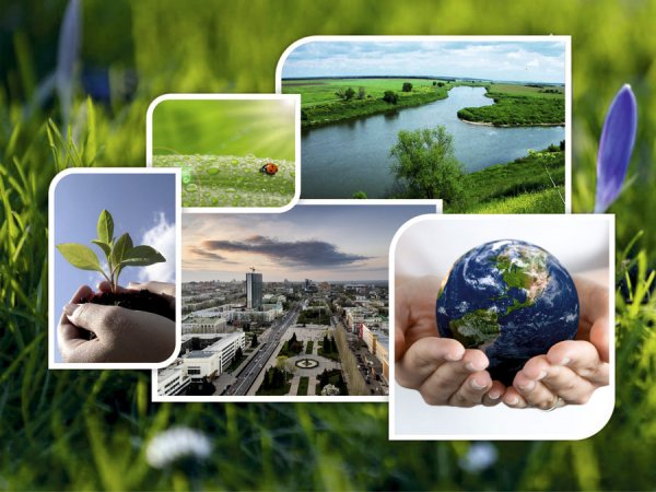 Охрана окружающей среды