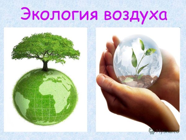 Окружающий мир экология