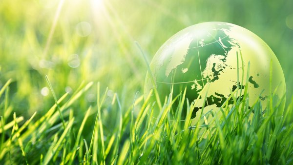 Экологический фон