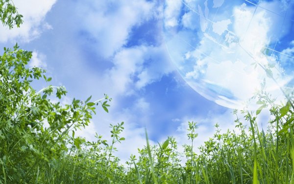 Природа чистый воздух