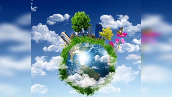 Друзья на природе