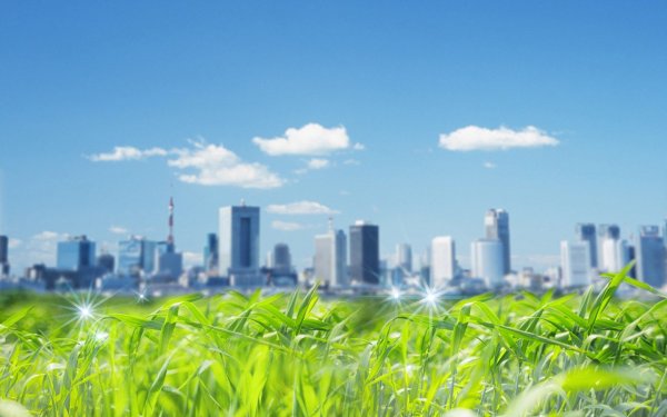 Чистая экология