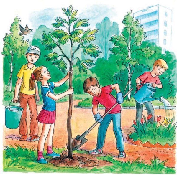 Окружающий мир картинки для детей