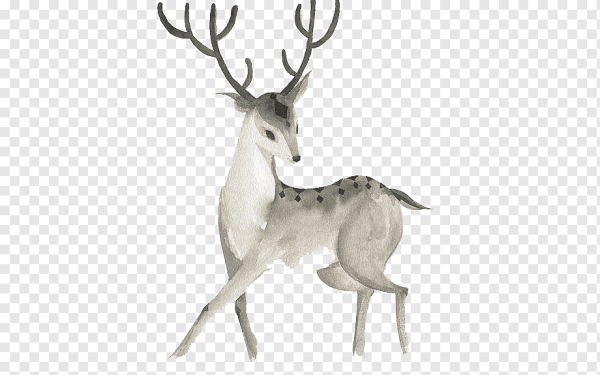 Зимний олень на прозрачном фоне