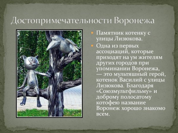 Памятник в Воронеже коту с улицы Лизюкова сообщение