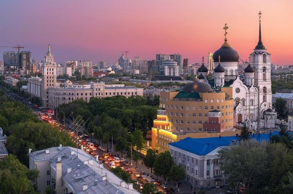 Население города Воронеж