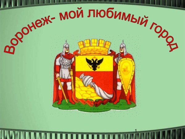 Мой город Воронеж
