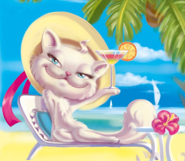 Кошечка на пляже