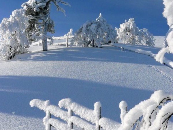 Снежная зима