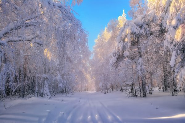 Снежный пейзаж