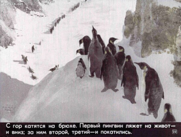 Г Снегирева про пингвинов рассказ