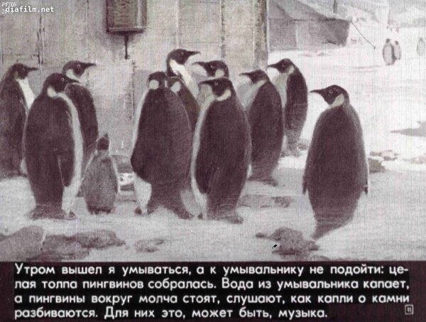 Снегирев рассказы о пингвинах