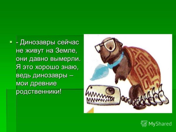Мудрая черепаха