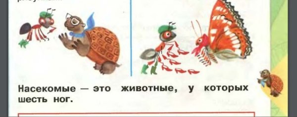 Сказка муравей и черепаха
