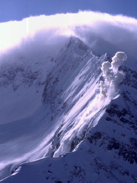 Лавина Беленсона