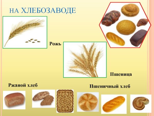 Продукты из пшеницы