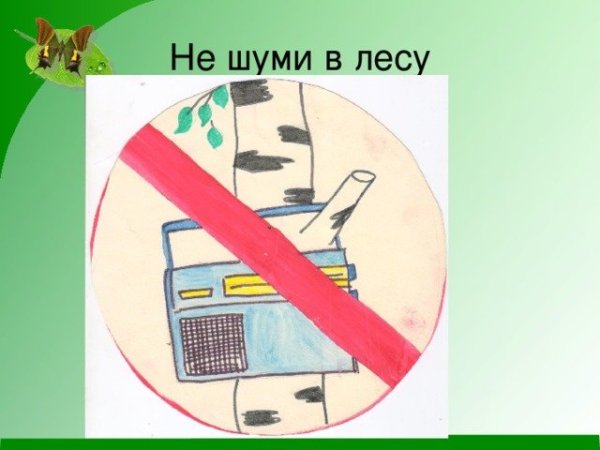Не шуми в лесу