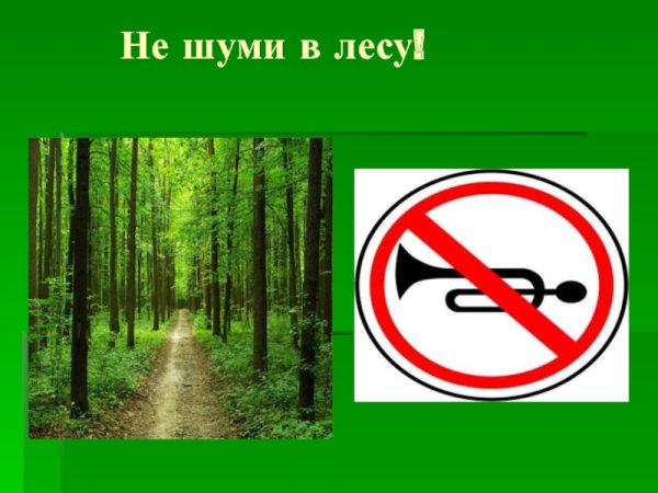 Знак не шуметь в лесу
