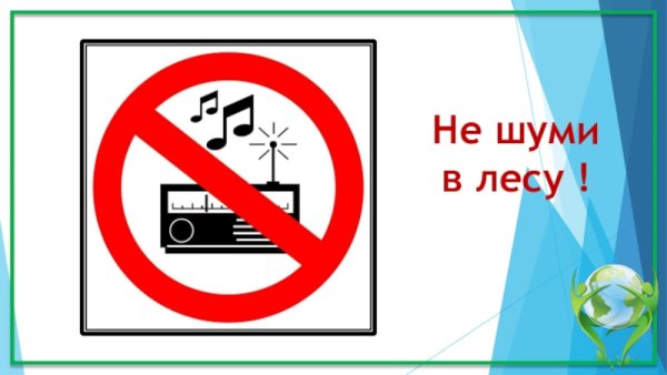 Не шумите в лесу таблички