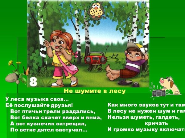 Правило поведение в лесу стихами