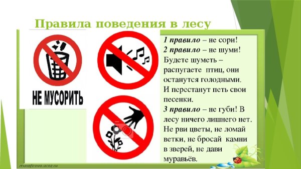Знак в лесу сорить запрещено