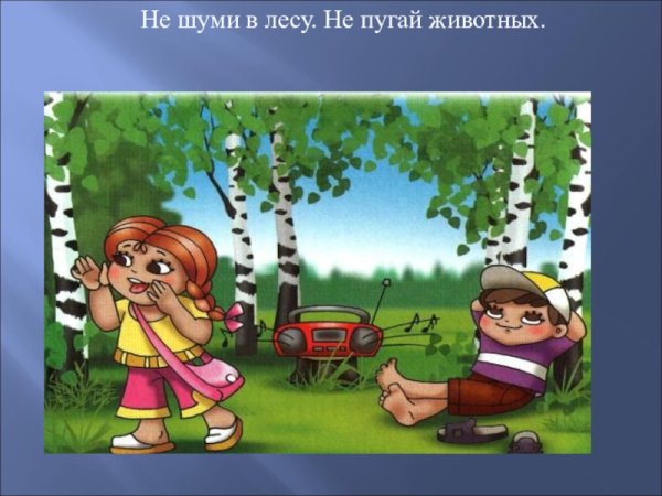 Лес шумит