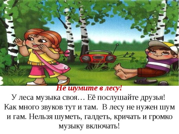 Почему нельзя шуметь в лесу