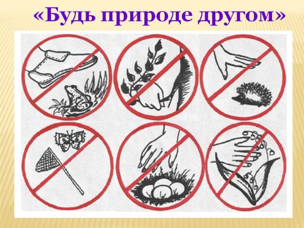 Будь природе другом