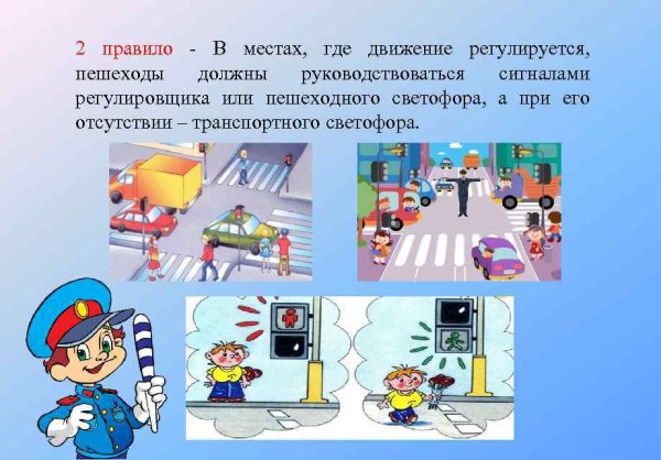 Правила безопасного поведения на дороге