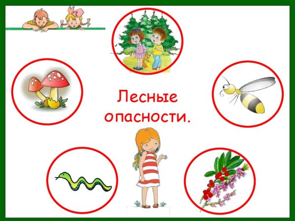 Опасности в лесу