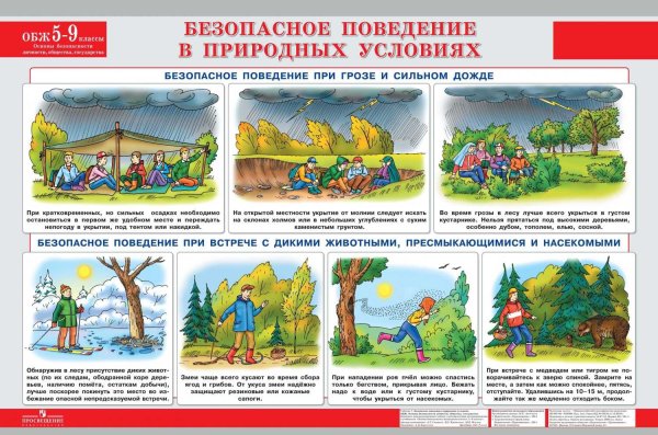 Безопасность на природе