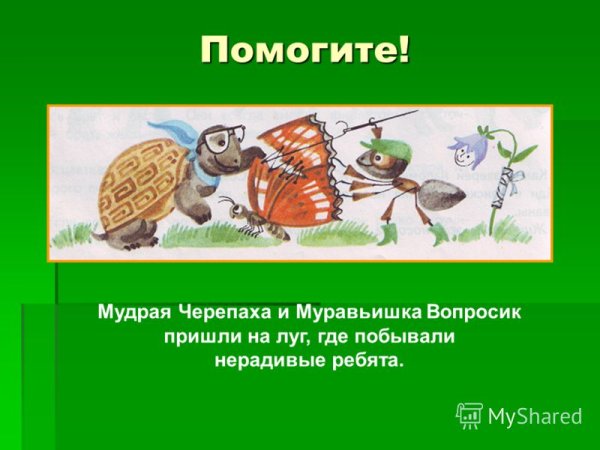 Сказка муравей и черепаха