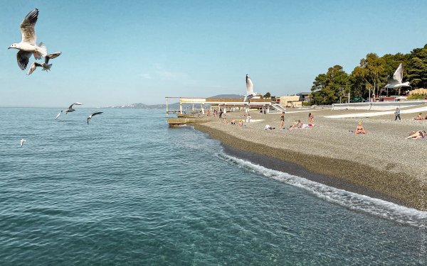 Пляж Чайка Адлер