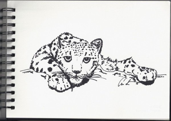 Леопард для срисовки из мелких деталей