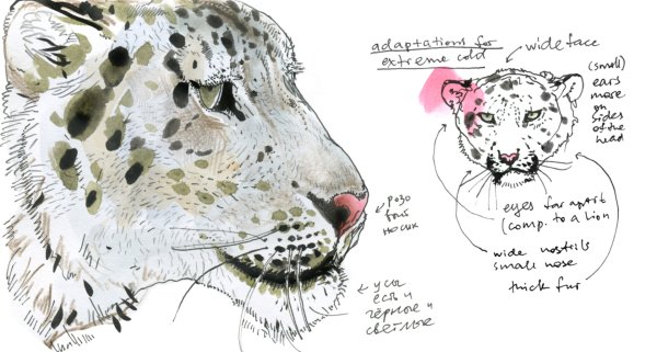 Рисунки Барса маркерами