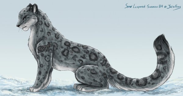 Нарисовать снежного Барса