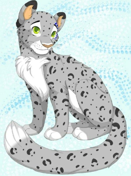 Фурри гепард и снежный Барс