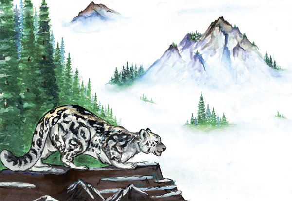 Снежный Барс рисунок