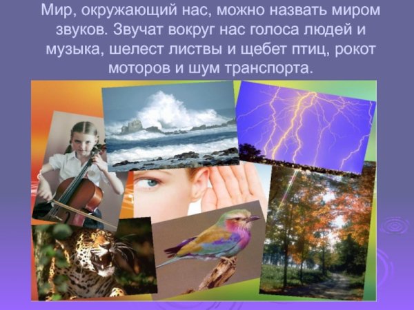 Окружающий нас мир композиция