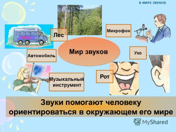 Звуки в окружающем мире