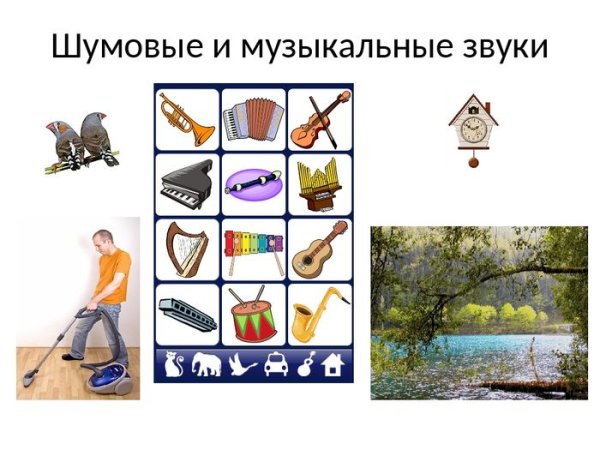 Шумовые звуки и музыкальные звуки