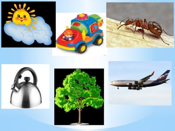 Рукотворная природа