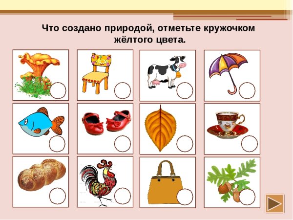 Предметы созданные руками человека