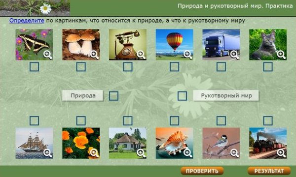 Объекты природы и рукотворного мира