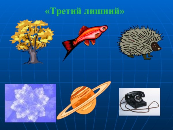 Природные и рукотворные предметы