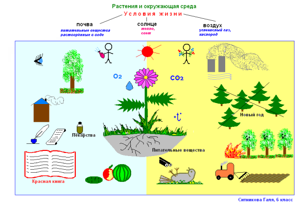Опорные схемы в начальной школе