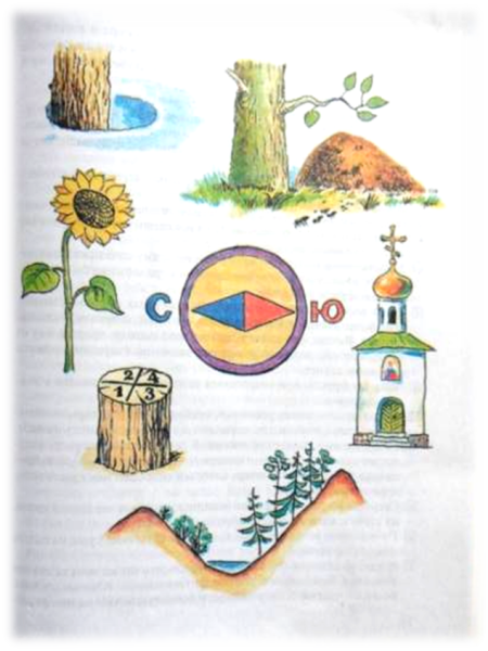 Ориентирование на местности