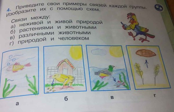 Связь между живой и неживой природой