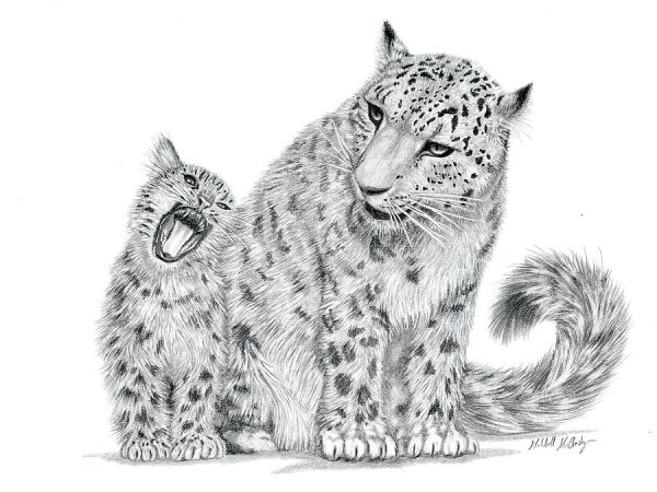 Белый Барс раскраска